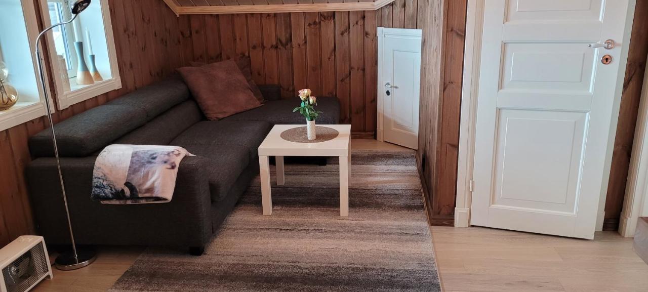 Wonderful Cabin With Amazing Mountain - View Lifjell Exterior foto